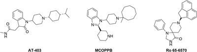 Functional Selectivity Does Not Predict Antinociceptive/Locomotor Impairing Potencies of NOP Receptor Agonists